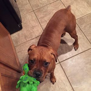 Meet your Posher, John